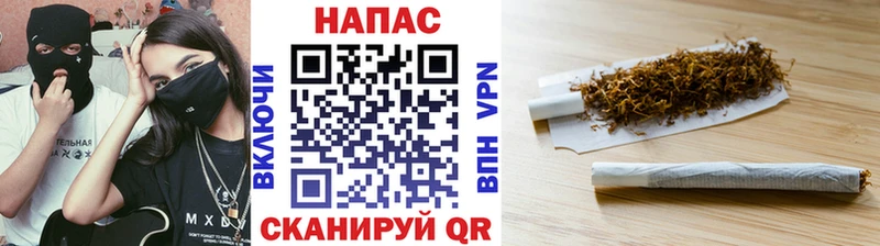 Бошки Шишки MAZAR Мышкин